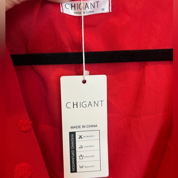 NWT Chiffon Ruffle Dress - Picture 4 of 5